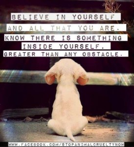 2e998fae06e552cff0607a1ad39fe914